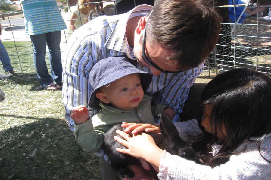 ../image/petting zoo at church 4.jpg